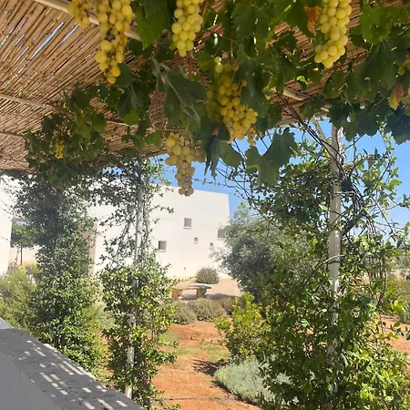 Casa Bianca Di Porto Selvaggio Villa Santa Caterina (Apulia)